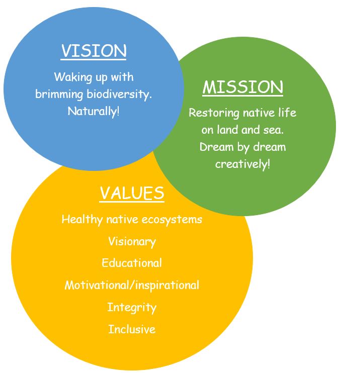 VisionMissionValues